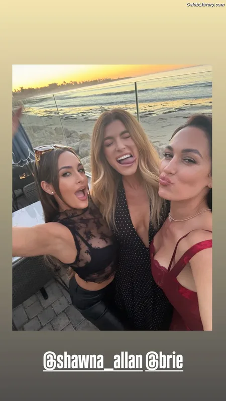 The Bella Twins photo 13 of 1421