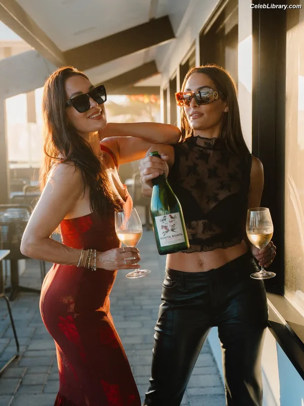 The Bella Twins photo 4 of 1421