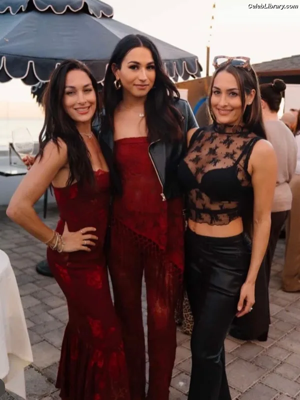 The Bella Twins photo 24 of 1421