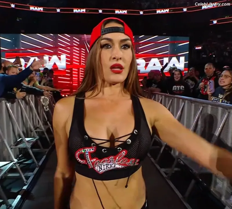 The Bella Twins photo 10 of 1421