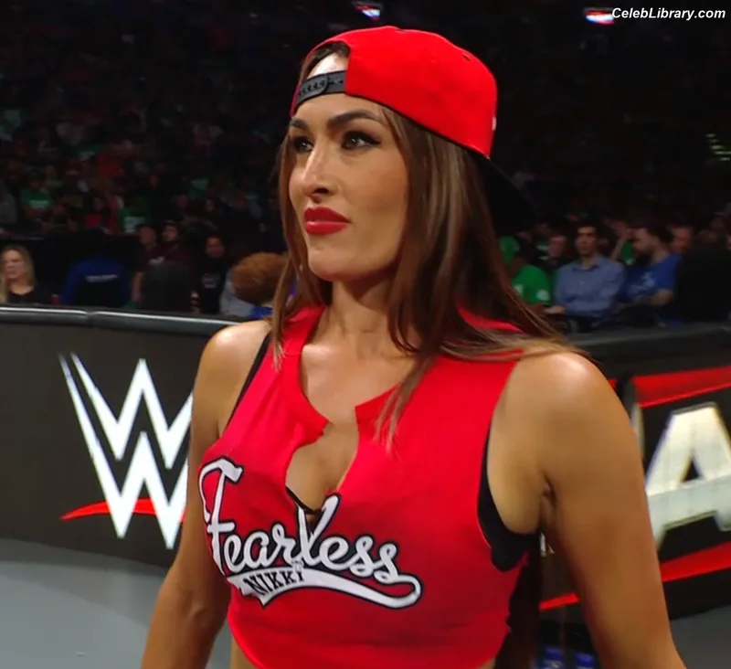 The Bella Twins photo 17 of 1421