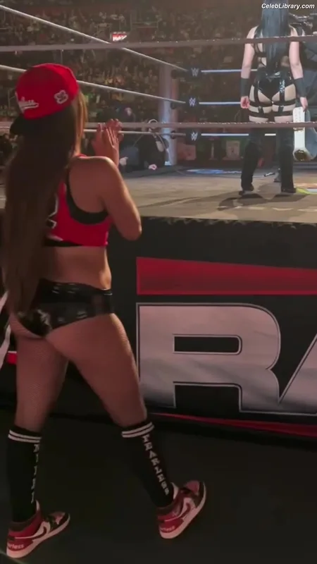 The Bella Twins photo 4 of 1421