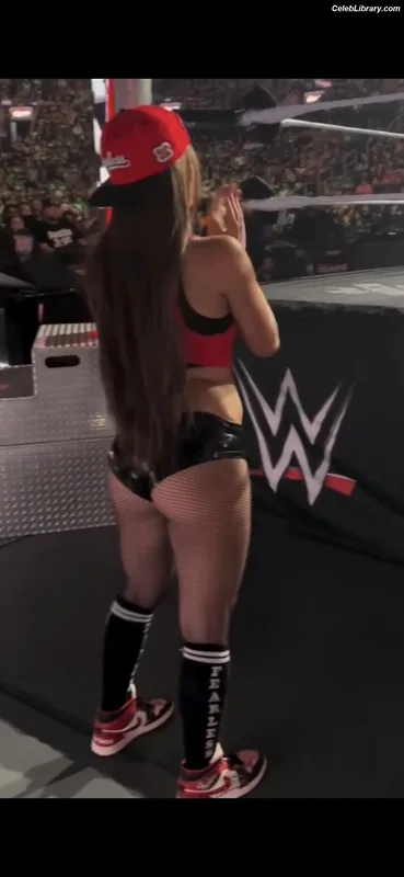 The Bella Twins photo 1 of 1421