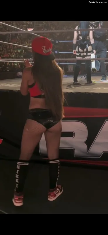 The Bella Twins photo 17 of 1421