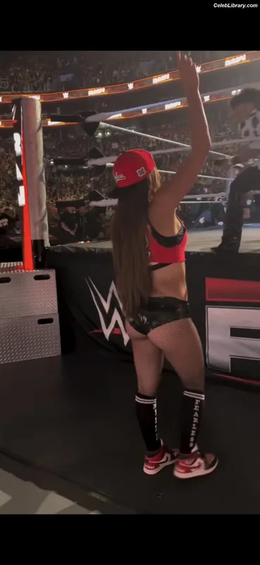 The Bella Twins photo 19 of 1421