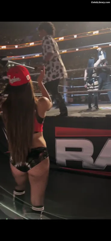 The Bella Twins photo 14 of 1421