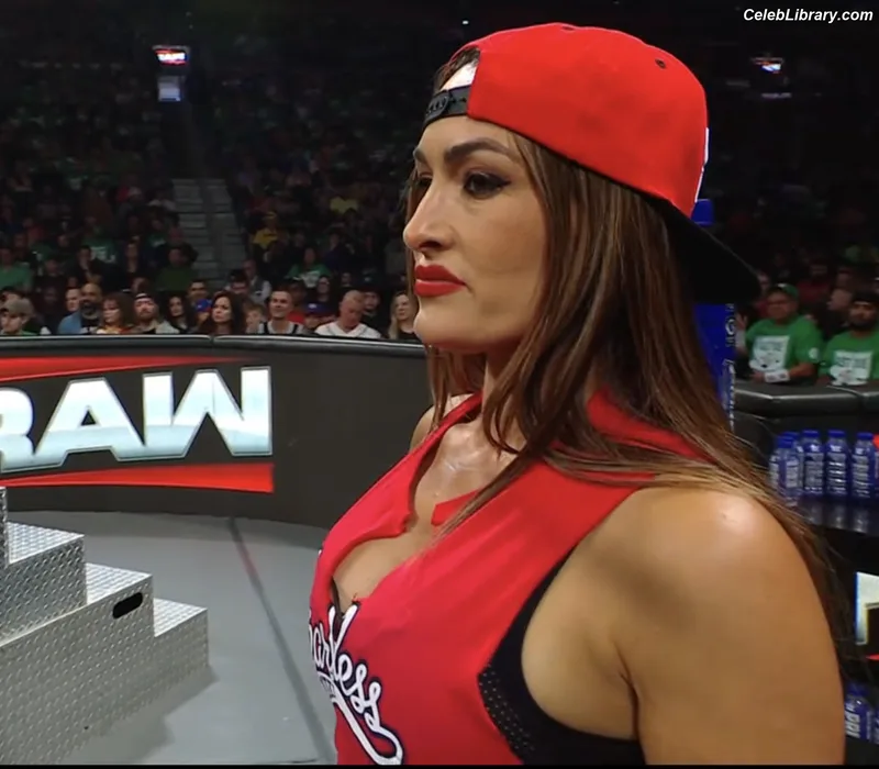 The Bella Twins photo 20 of 1421