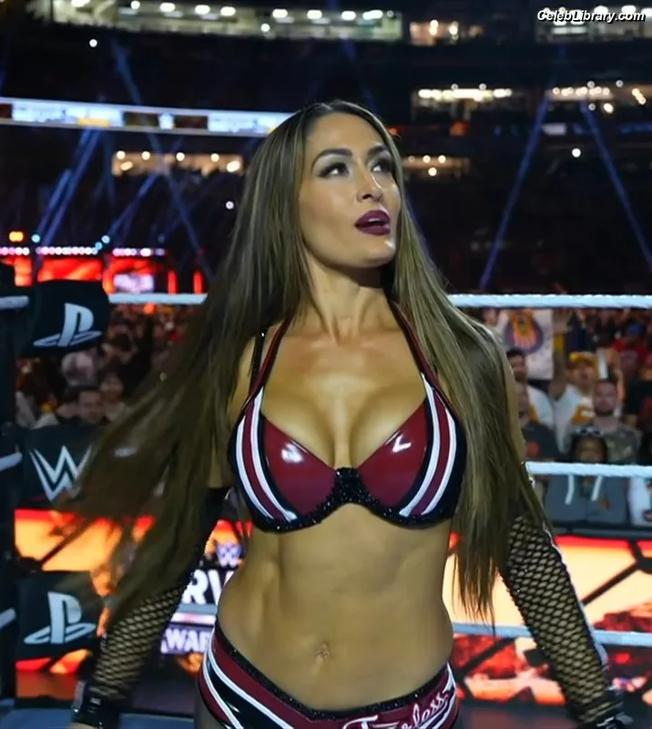 The Bella Twins photo 20 of 1421