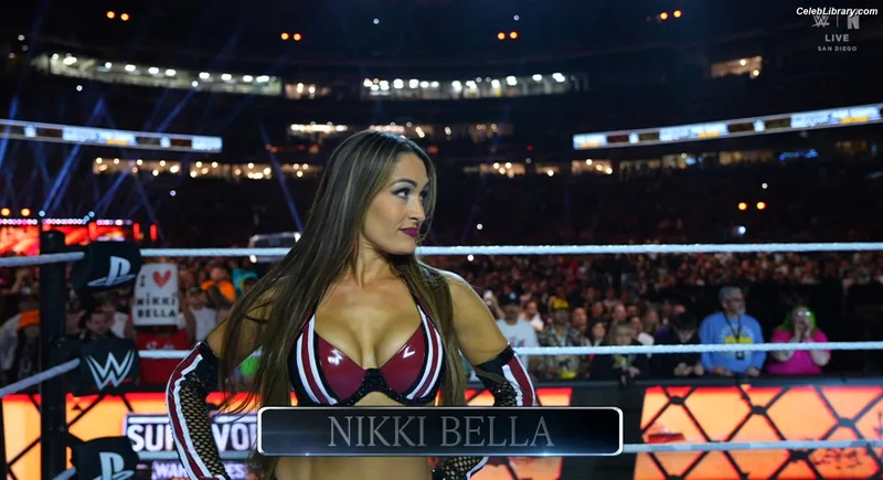 The Bella Twins photo 22 of 1421