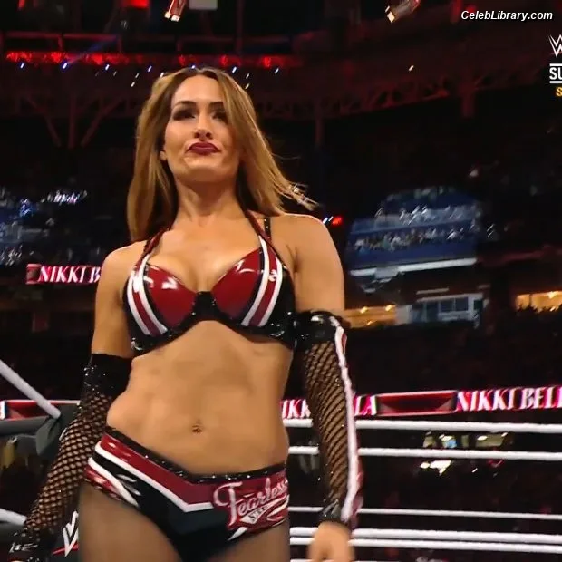 The Bella Twins photo 5 of 1421
