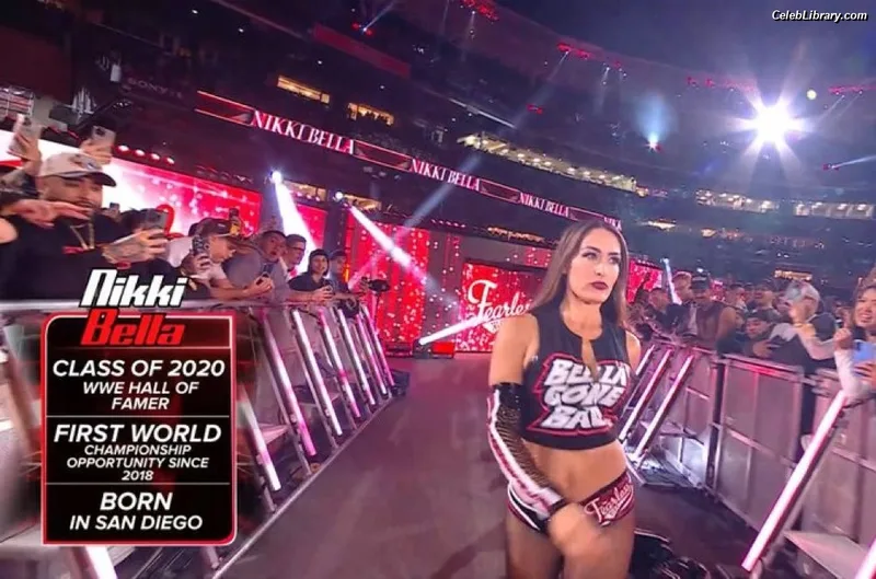 The Bella Twins photo 6 of 1421