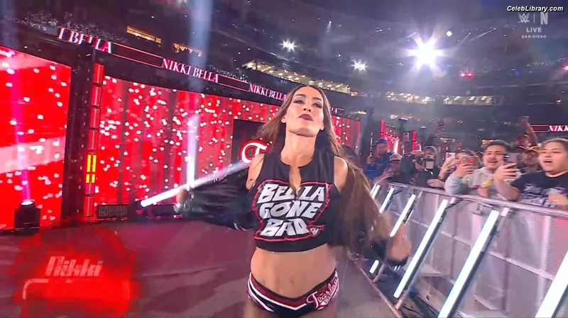 The Bella Twins photo 21 of 1421