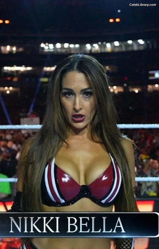 The Bella Twins photo 23 of 1421