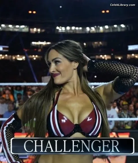 The Bella Twins photo 22 of 1421