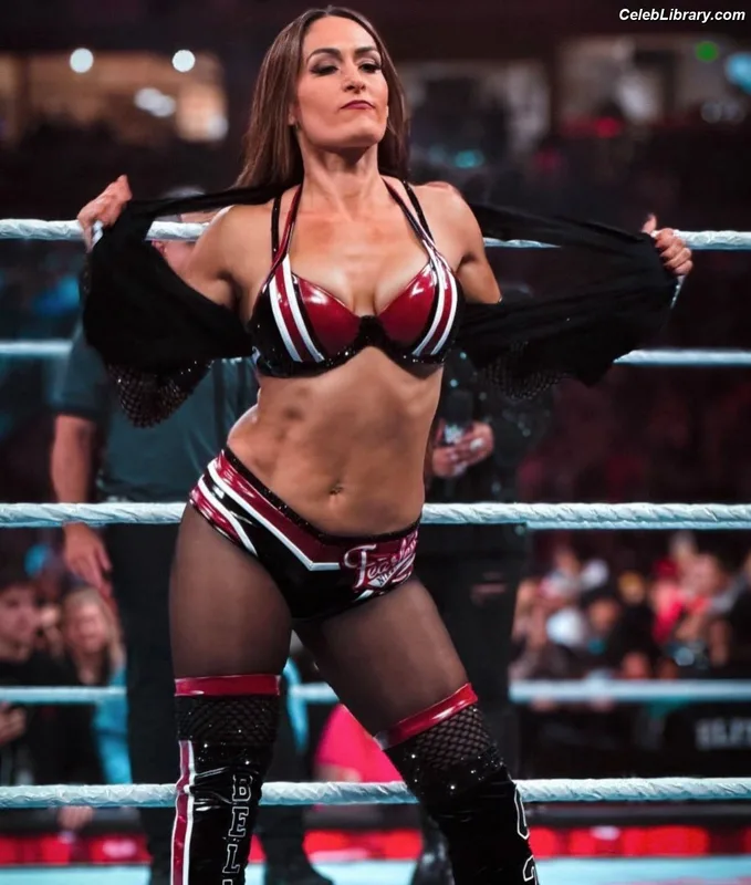 The Bella Twins photo 1 of 1421