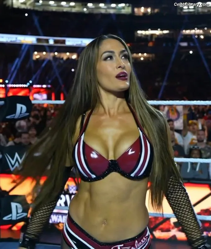 The Bella Twins photo 1 of 1421