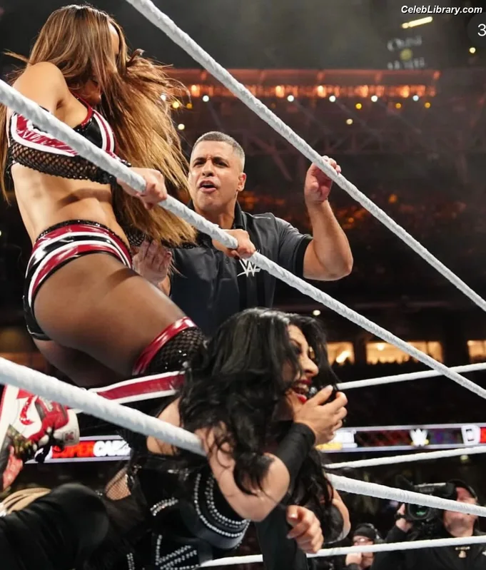 The Bella Twins photo 10 of 1421