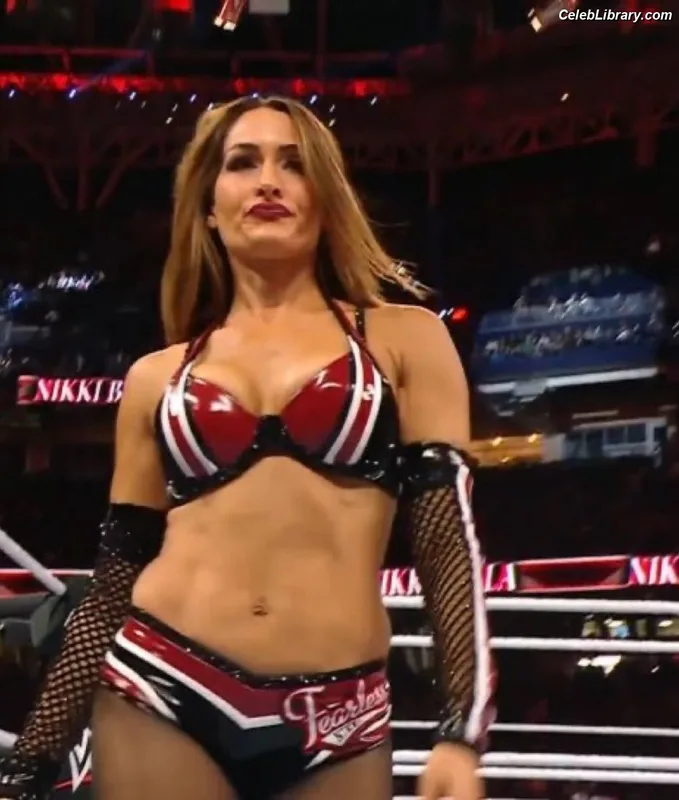 The Bella Twins photo 2 of 1421