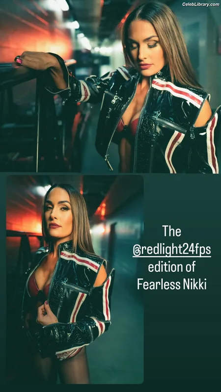 The Bella Twins photo 3 of 1421