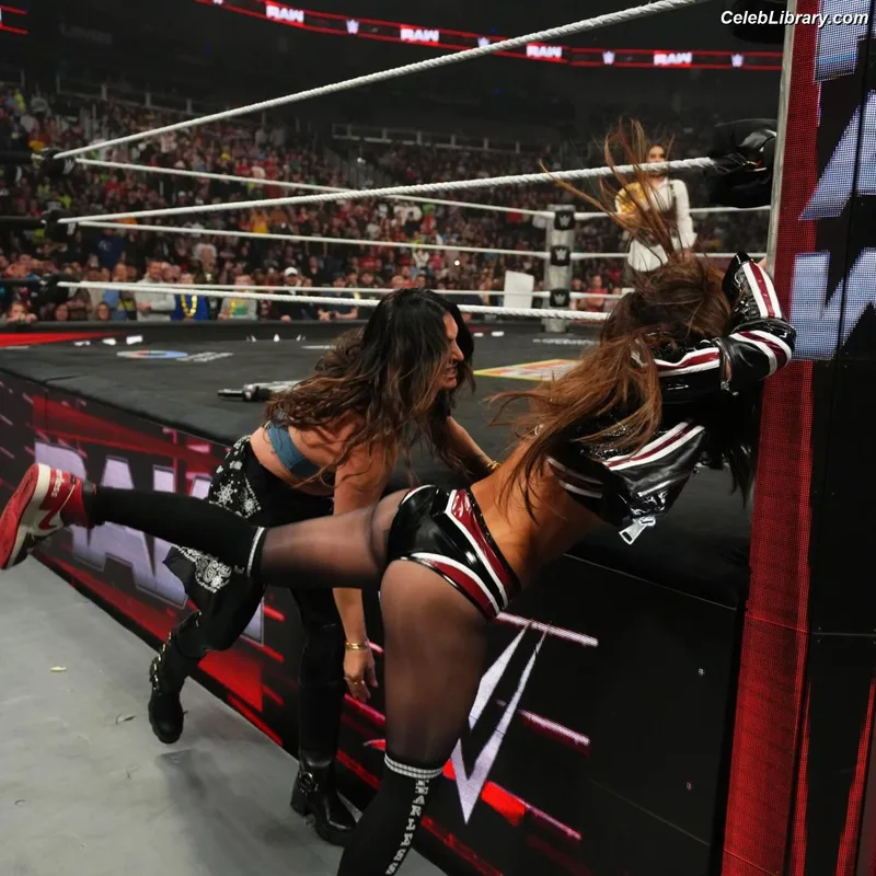 The Bella Twins photo 5 of 1421