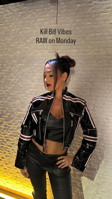 The Bella Twins photo 10 of 1421
