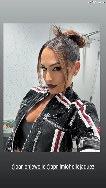 The Bella Twins photo 6 of 1421