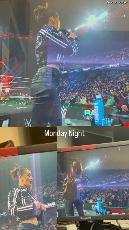 The Bella Twins photo 7 of 1421