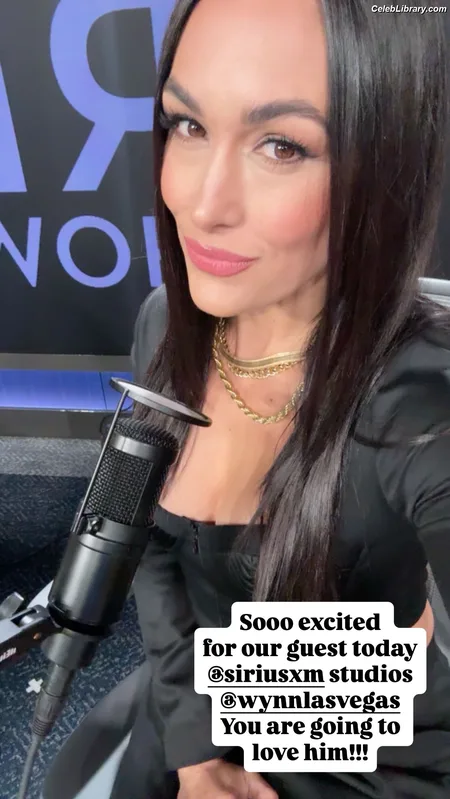 The Bella Twins photo 11 of 1421