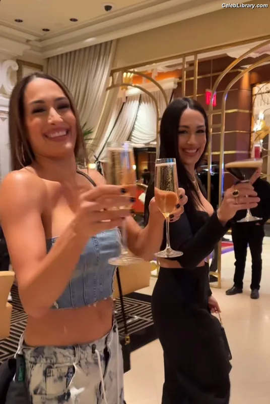 The Bella Twins photo 12 of 1421