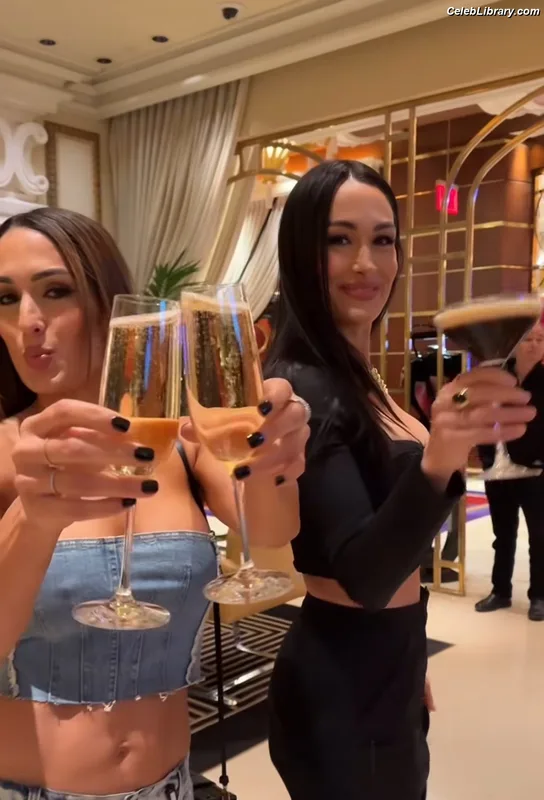 The Bella Twins photo 7 of 1421
