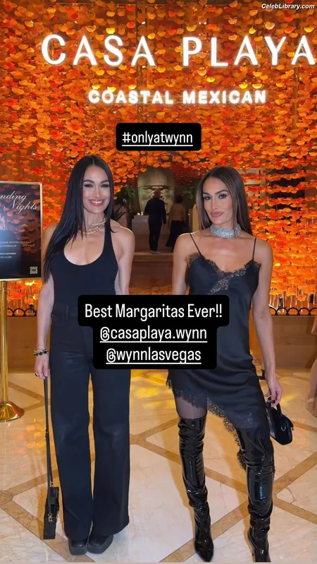 The Bella Twins photo 10 of 1421