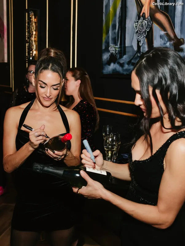 The Bella Twins photo 2 of 1421