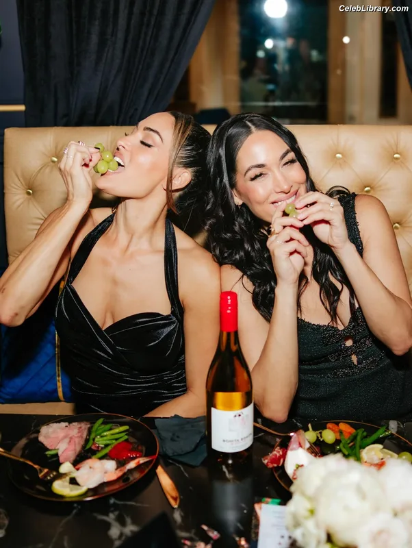 The Bella Twins photo 21 of 1421
