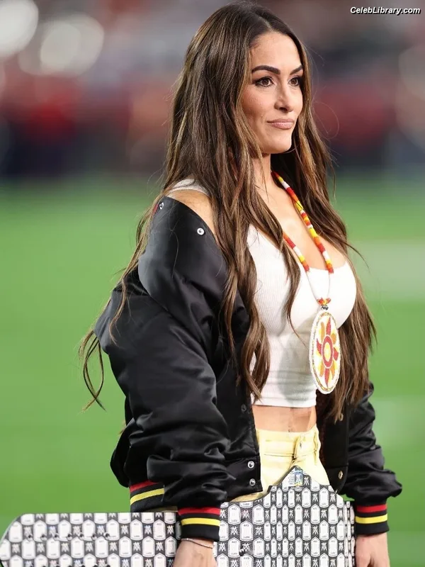 The Bella Twins photo 22 of 1421