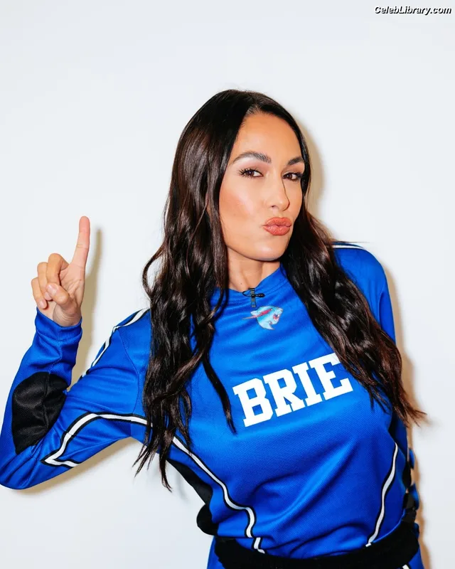 The Bella Twins photo 16 of 1421