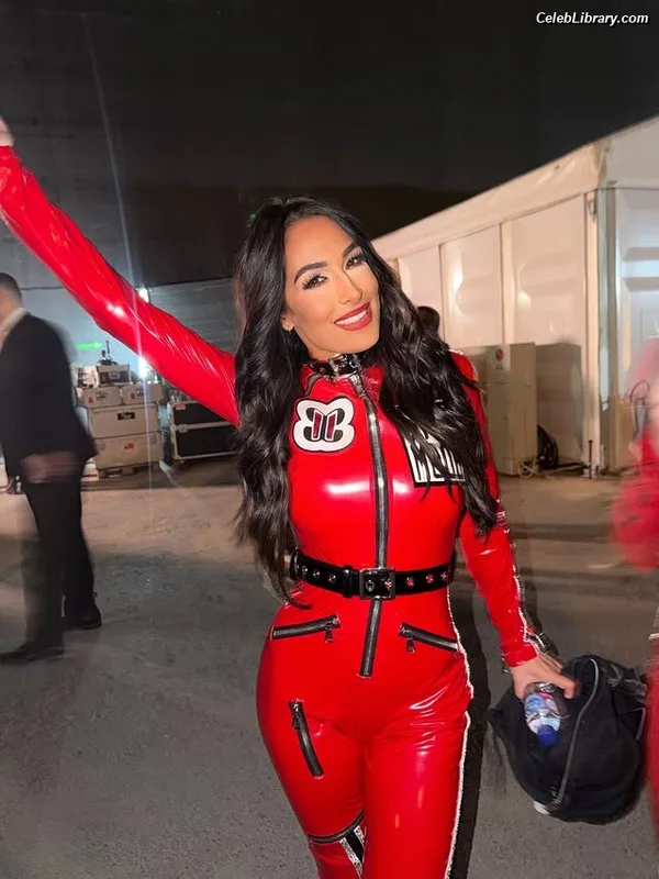 The Bella Twins photo 4 of 1421
