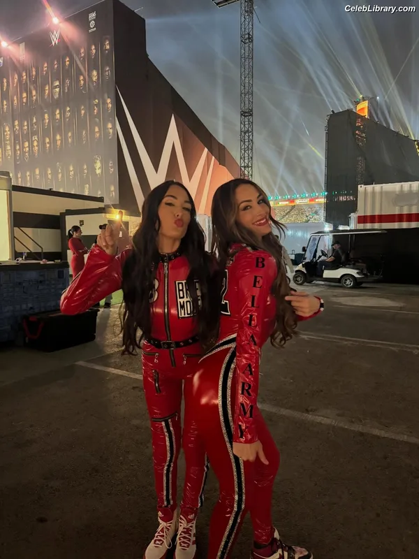 The Bella Twins photo 6 of 1421