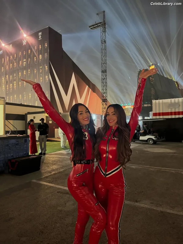 The Bella Twins photo 11 of 1421