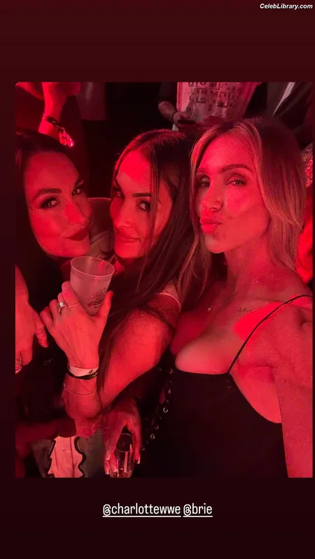 The Bella Twins photo 7 of 1421