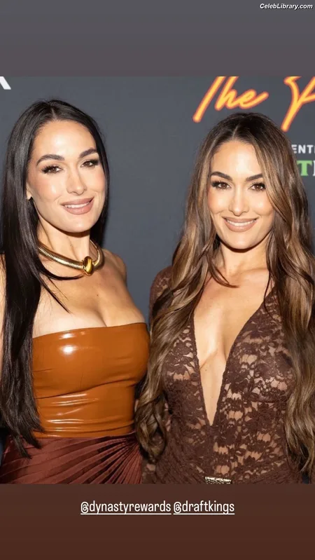 The Bella Twins photo 12 of 1421