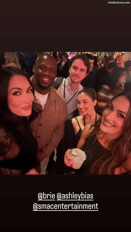 The Bella Twins photo 13 of 1421