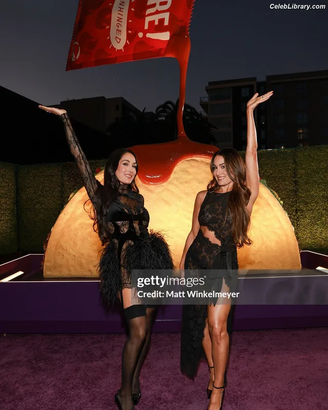 The Bella Twins photo 5 of 1421
