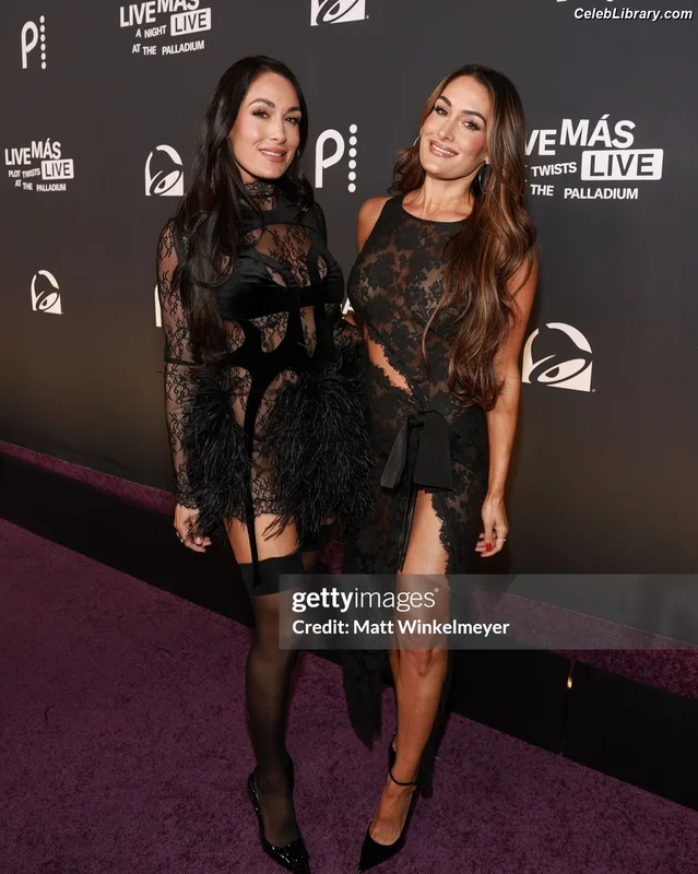 The Bella Twins photo 11 of 1421
