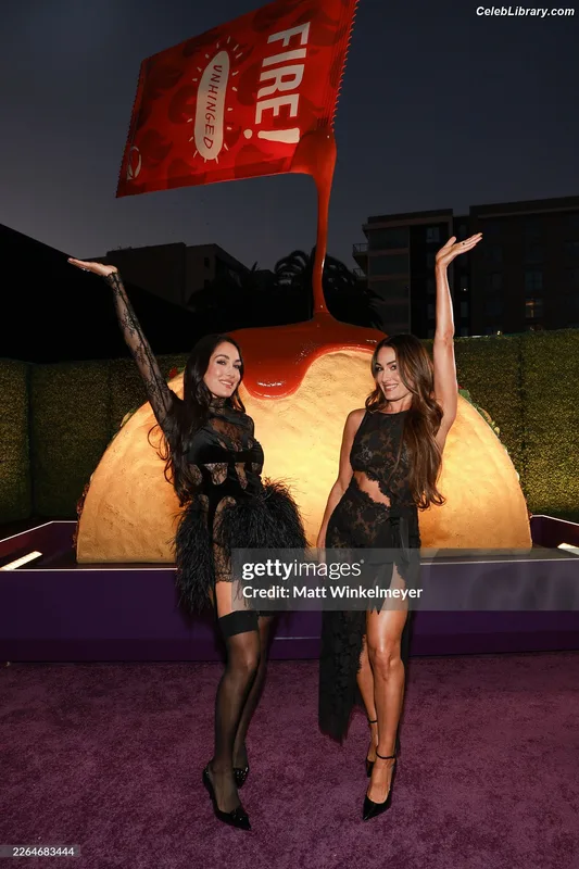 The Bella Twins photo 10 of 1421