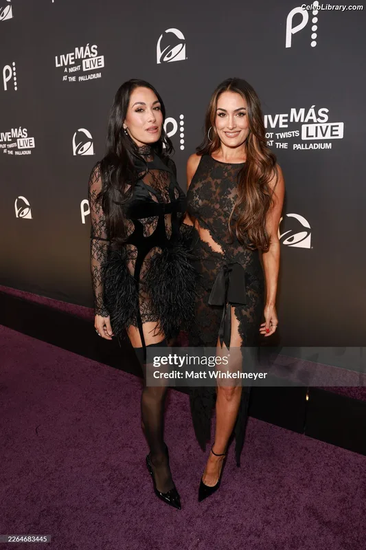 The Bella Twins photo 12 of 1421