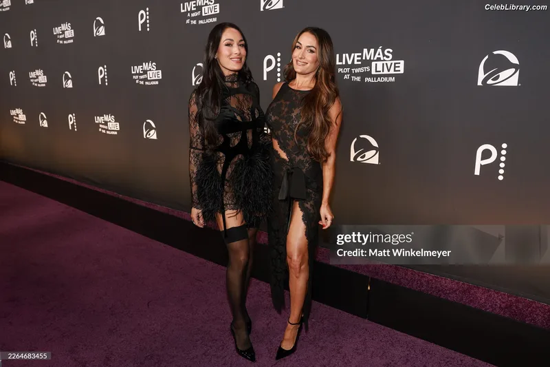 The Bella Twins photo 14 of 1421