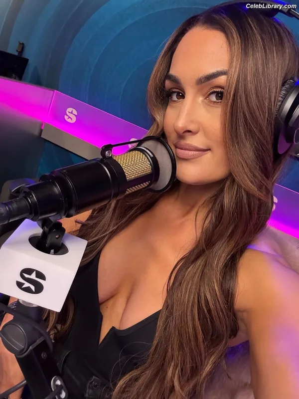 The Bella Twins photo 14 of 1421