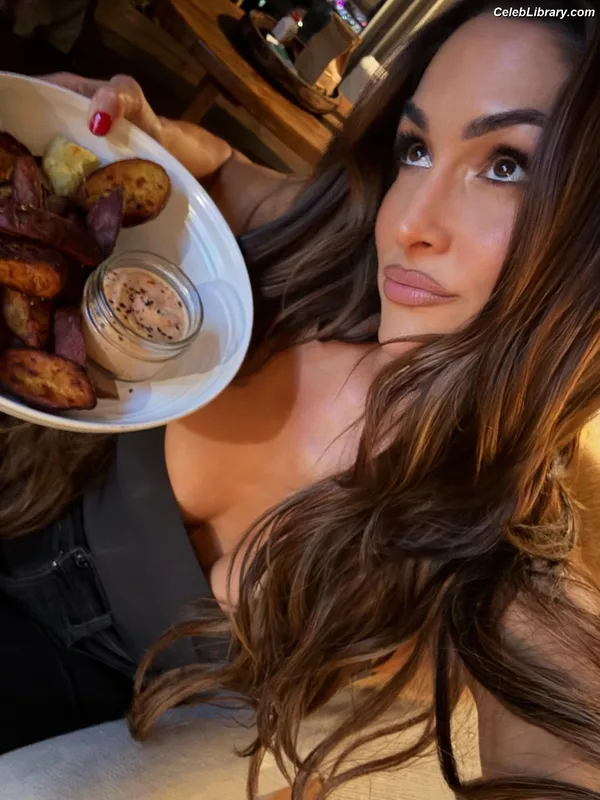 The Bella Twins photo 14 of 1421
