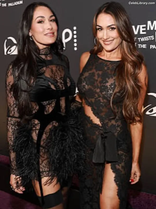 The Bella Twins photo 2 of 1421
