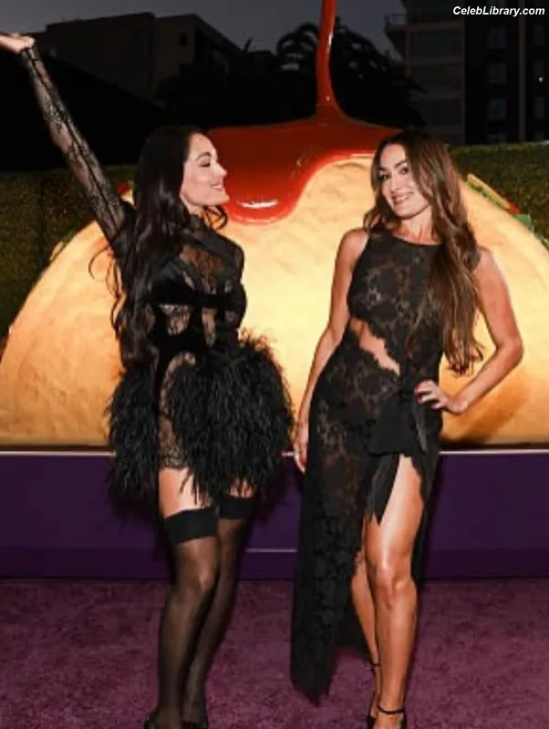 The Bella Twins photo 4 of 1421